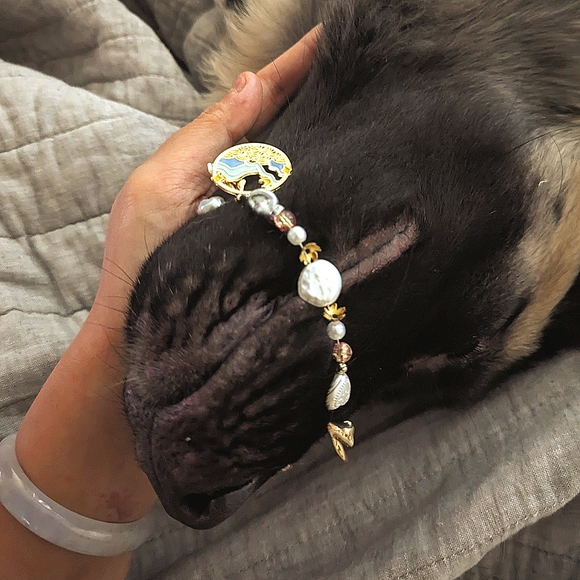 An interesting interest project - Picture 4 of 4